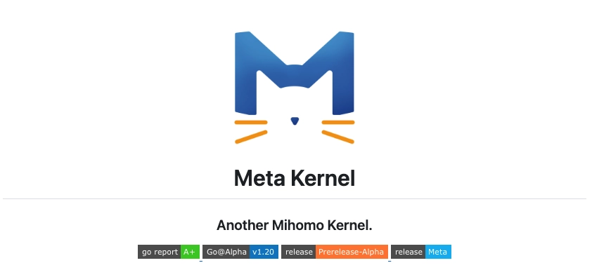请按照后台公告安装 Meta 内核的 Clash 版本，否则无法使用